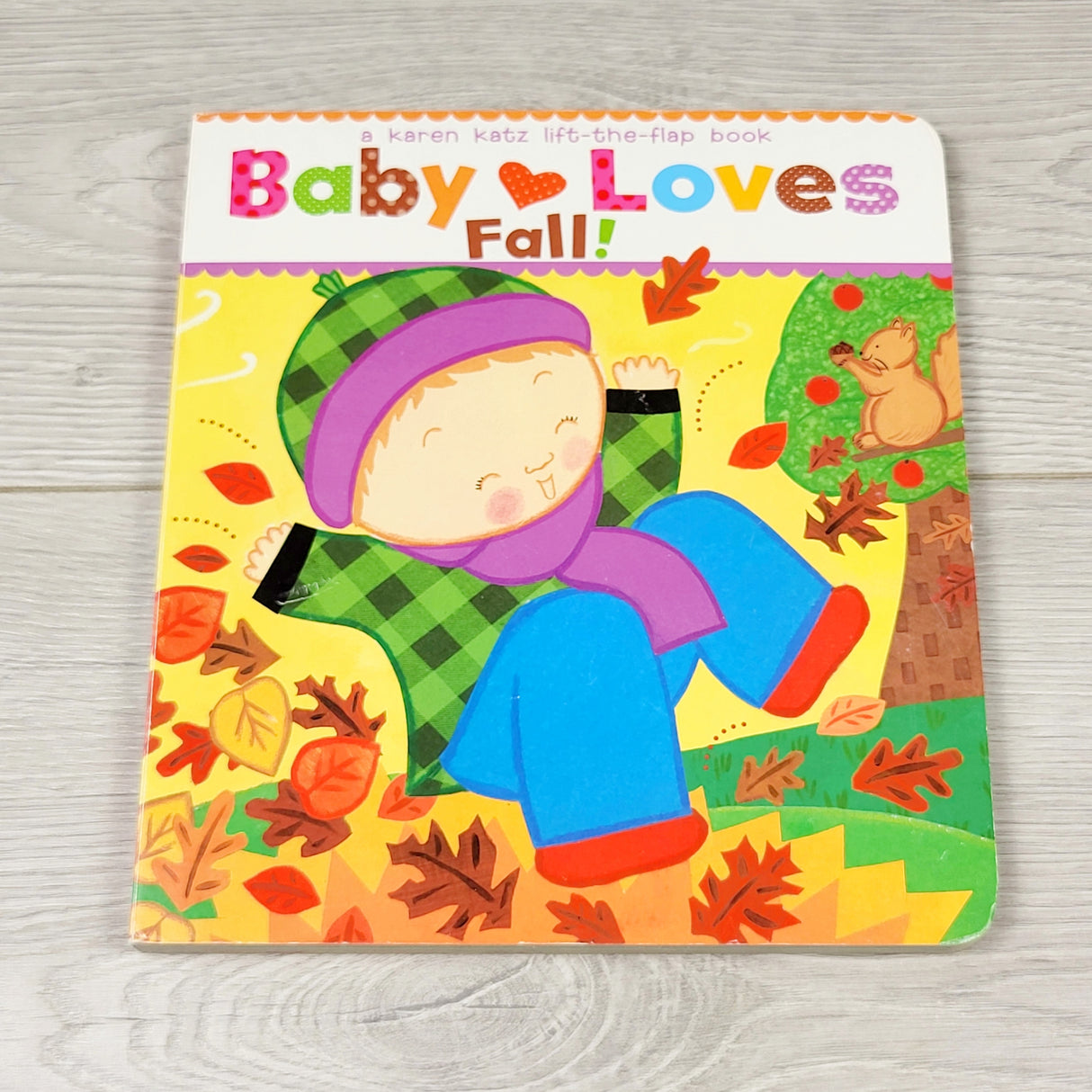 RBEN1 - Baby Loves Fall. Lift the flap board book
