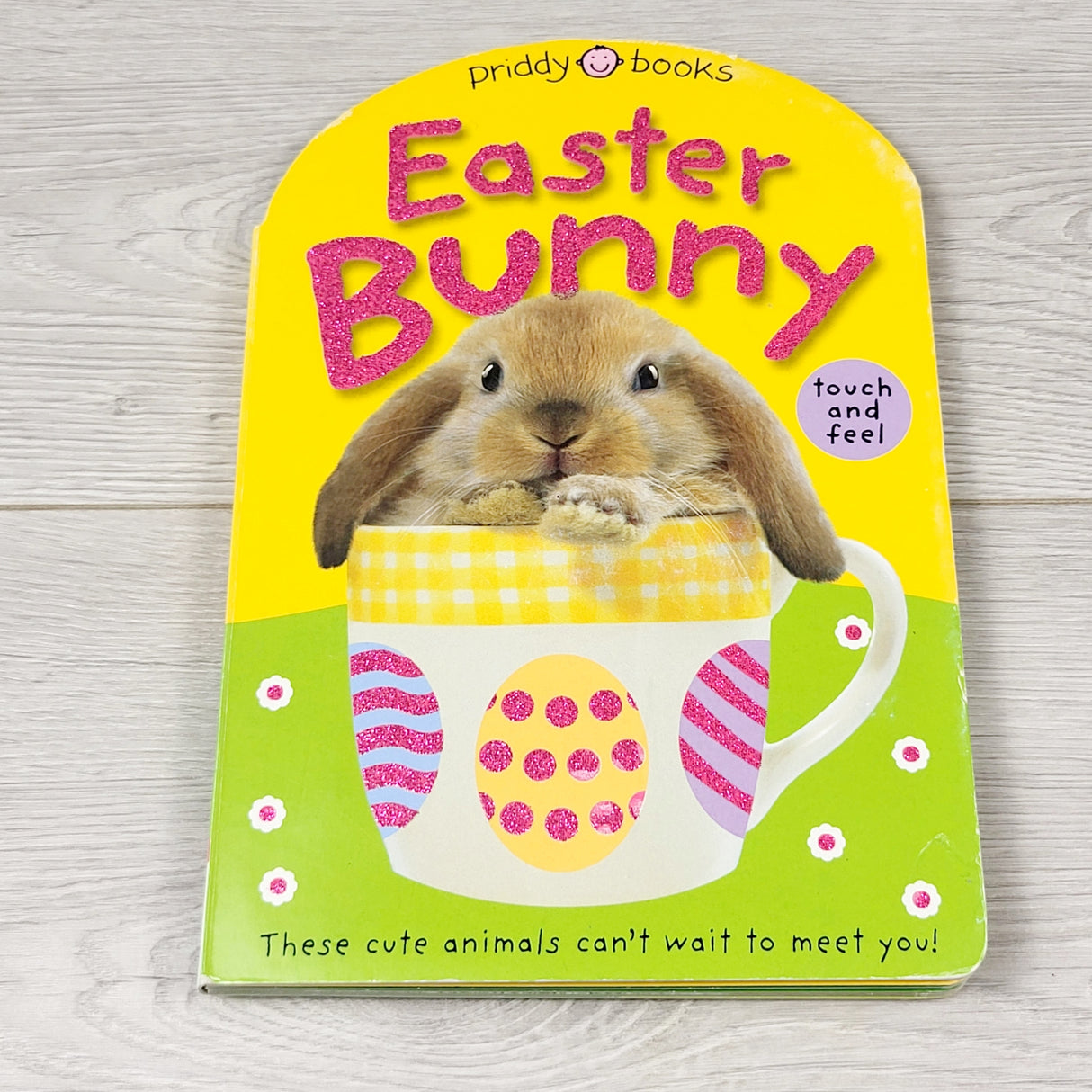 RBEN1 - Easter Bunny. Touch and feel board book