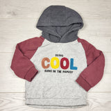 SAFW1 - Colour block pullover hoodie. Size 18-24 months