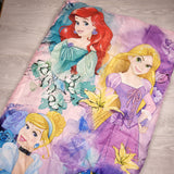 Disney Princesses sleeping bag - AS IS. Sorry,no shipping