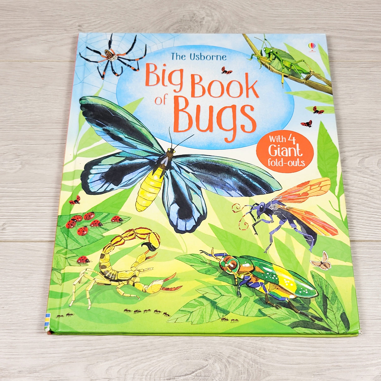 The Big Book of Bugs. Hardcover book