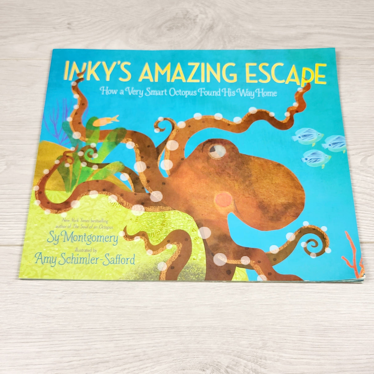Inky's Amazing Escape. Soft cover book
