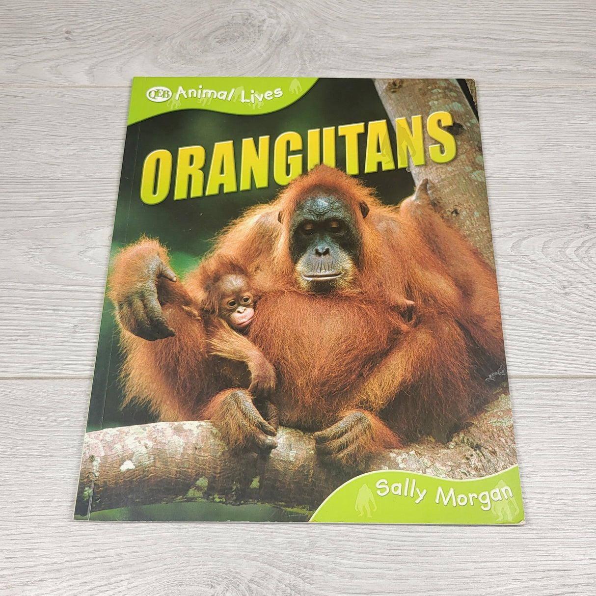 Orangutans. Soft cover book