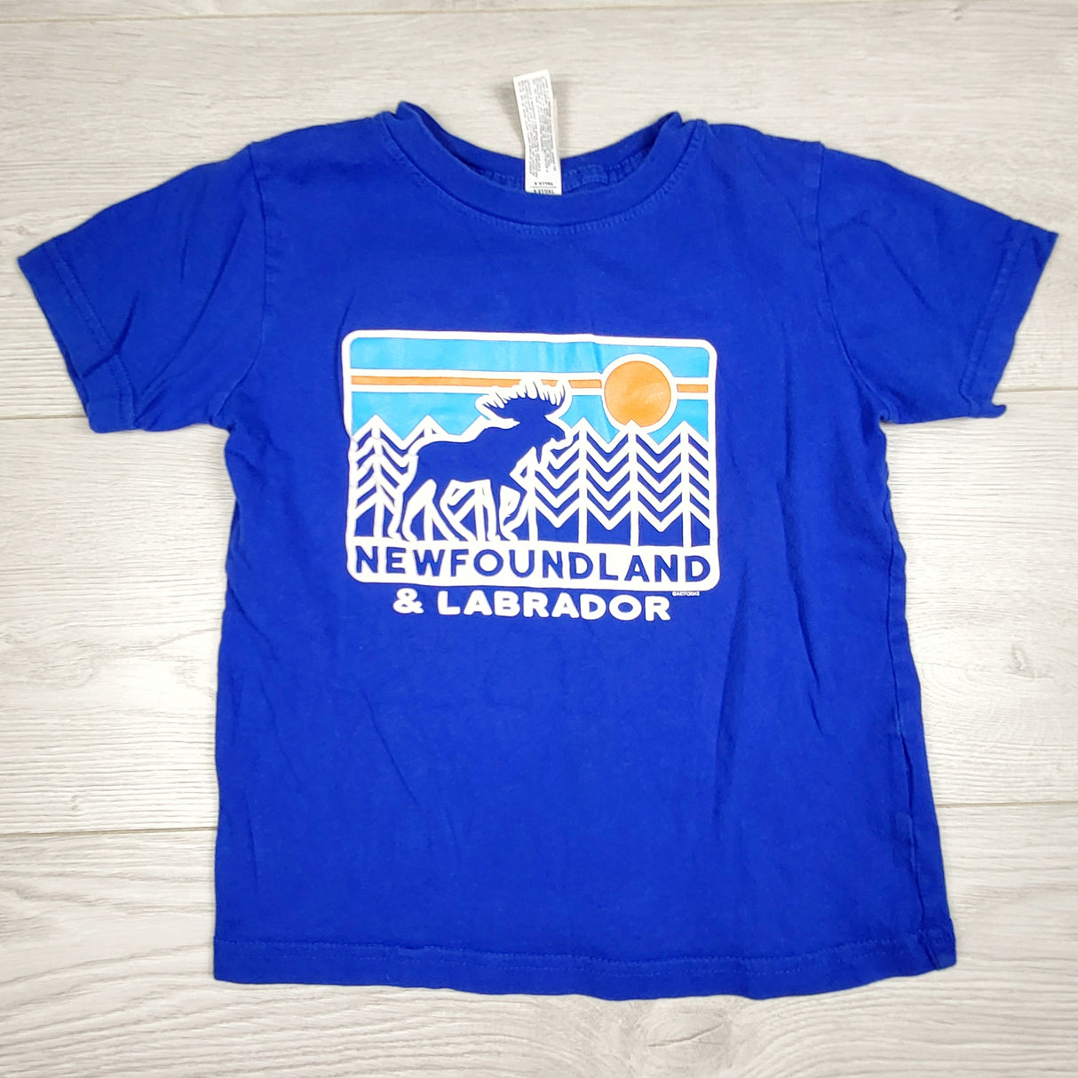 Blue Newfoundland and Labrador t-shirt. Size 4T