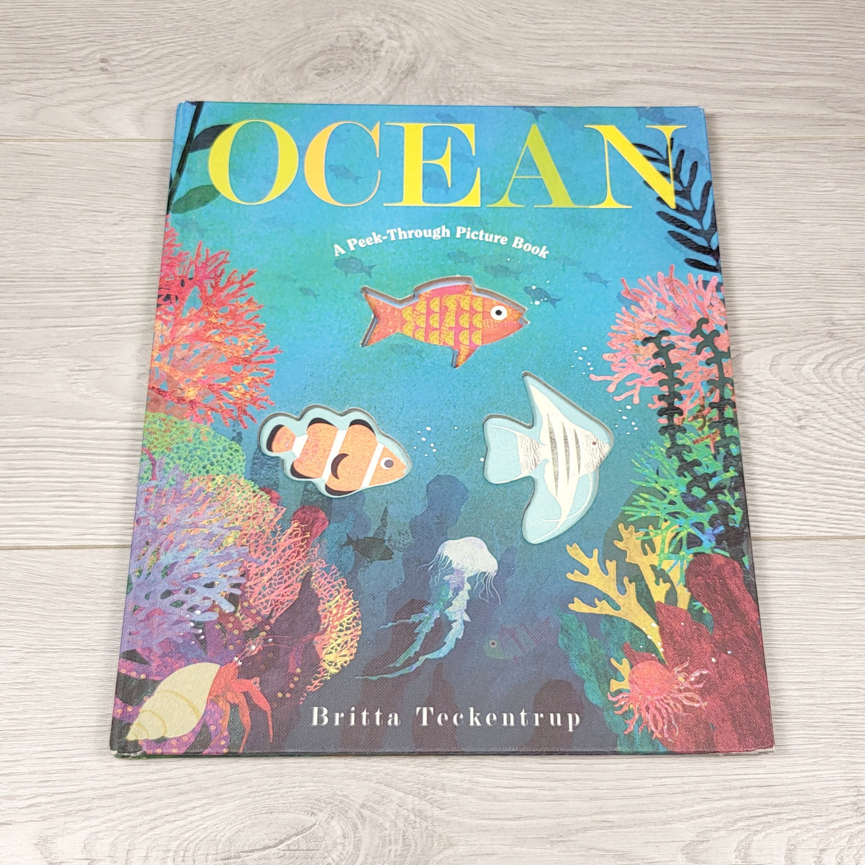 Ocean: A Peek-Through Picture Book. Hardcover book