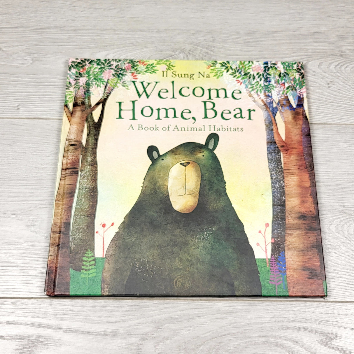 Welcome Home, Bear. Hardcover book