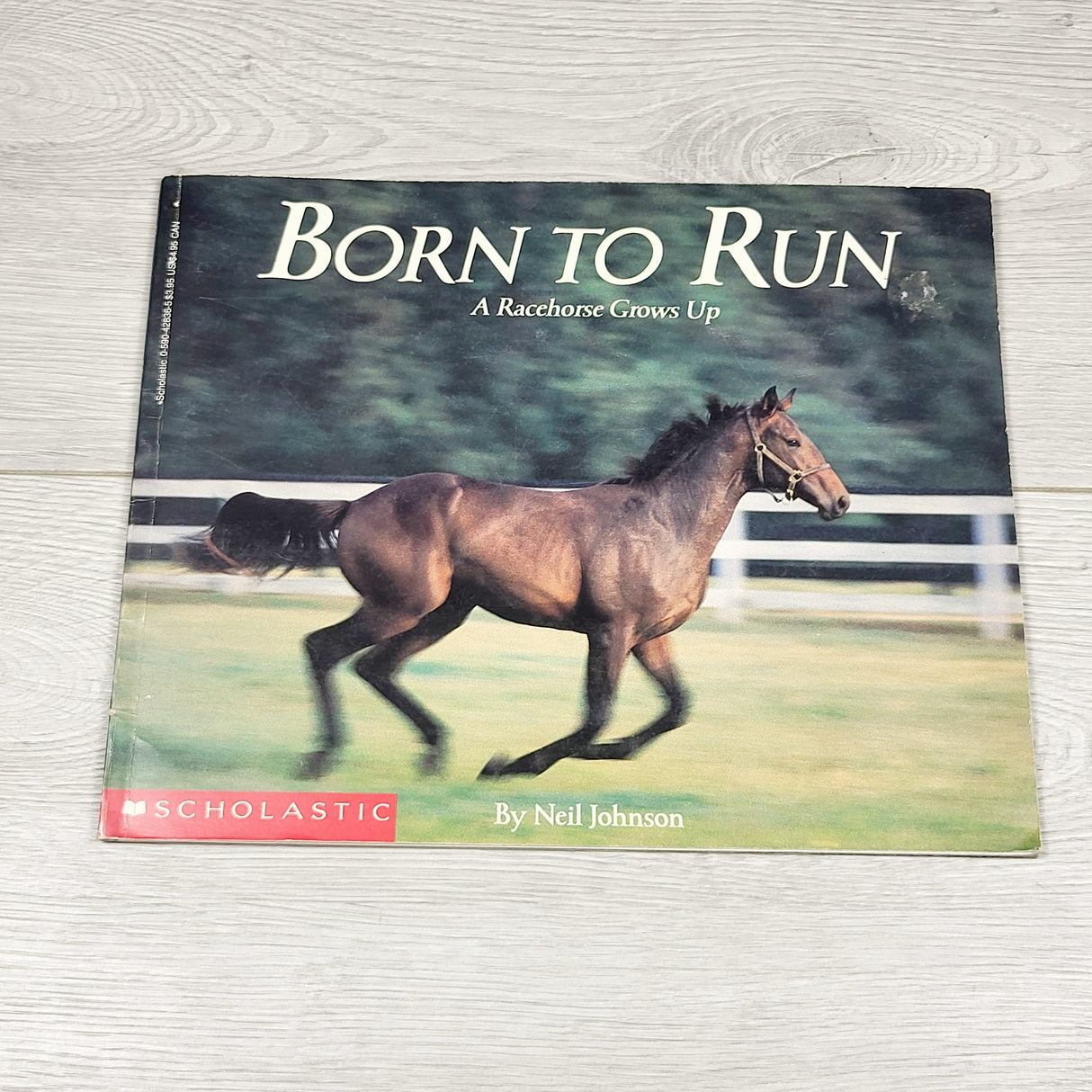 Born to Run. Soft cover book