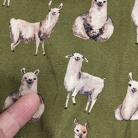 Little and Lively green bamboo dress with animals. Size 5/6 - AS IS