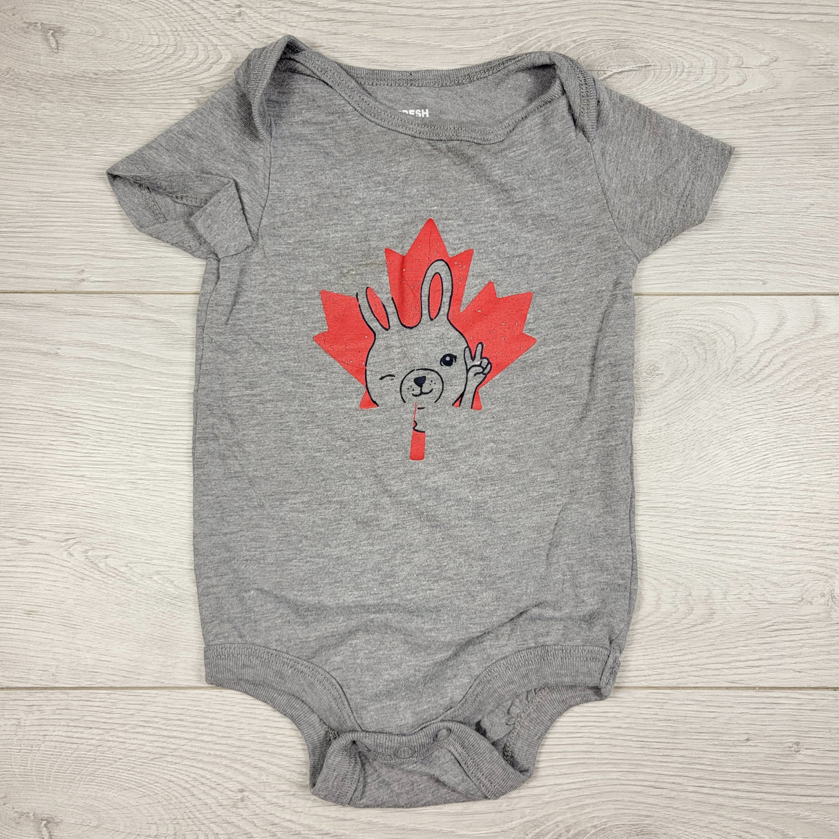 Joe grey bodysuit with bunny and maple leaf. Size 3-6 months