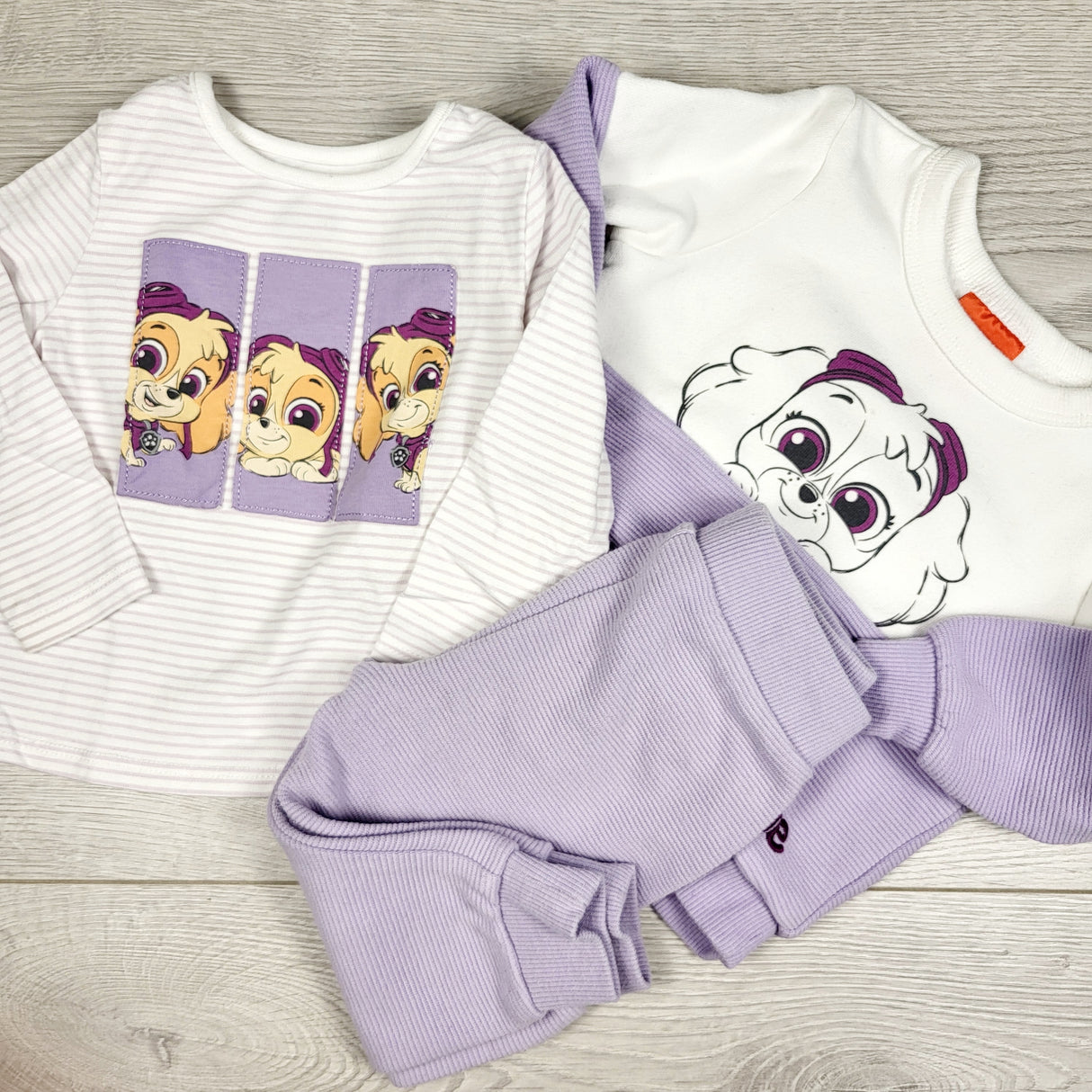 Paw Patrol white and purple 2pc set with Skye. Size 6 months