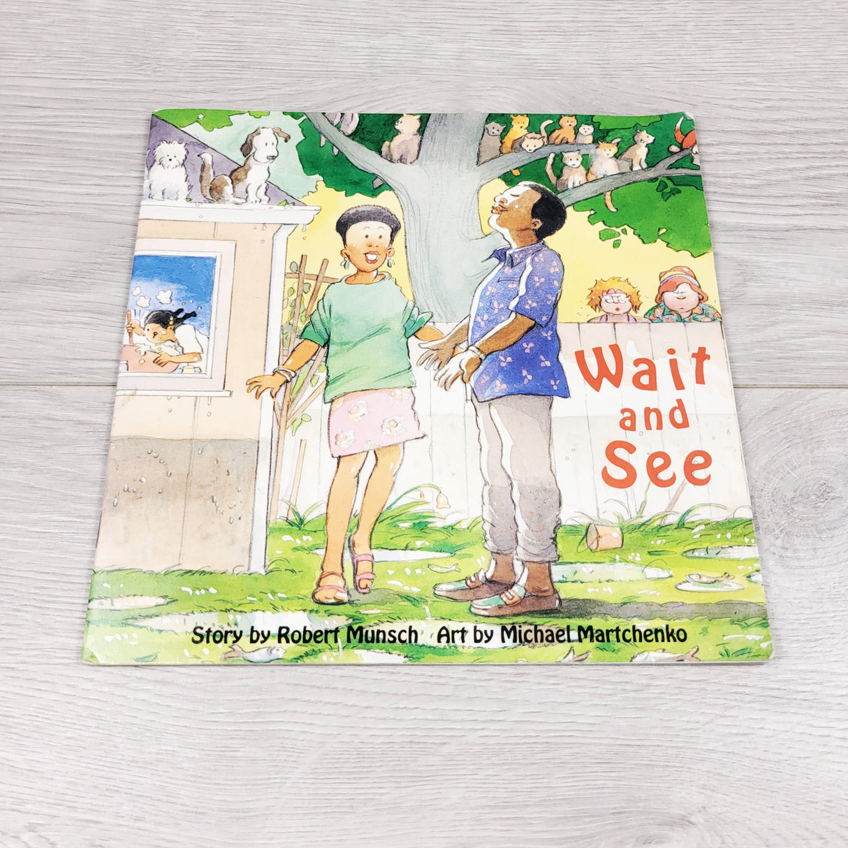 Wait and See. Soft cover book