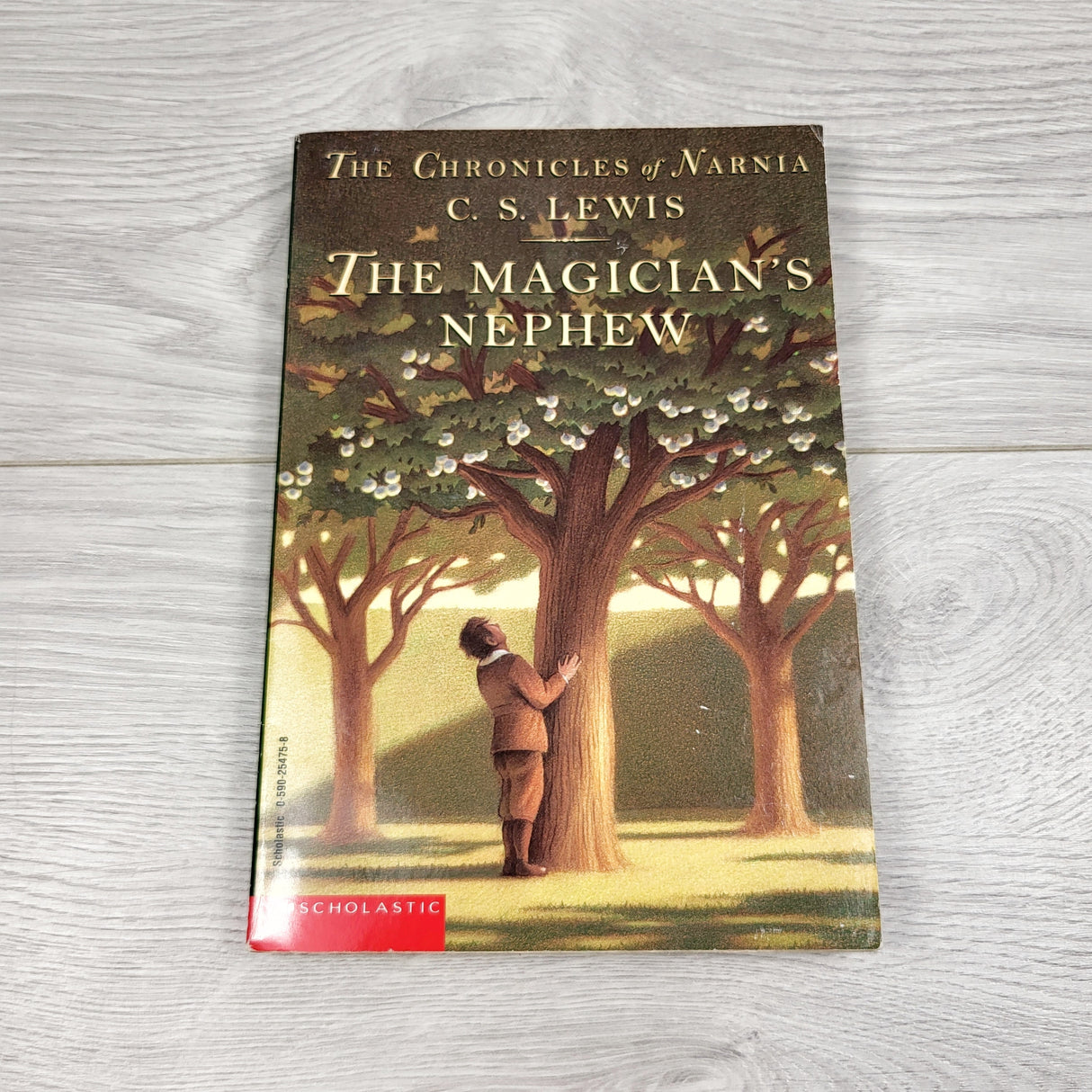 The Magician's Nephew. Soft cover chapter book