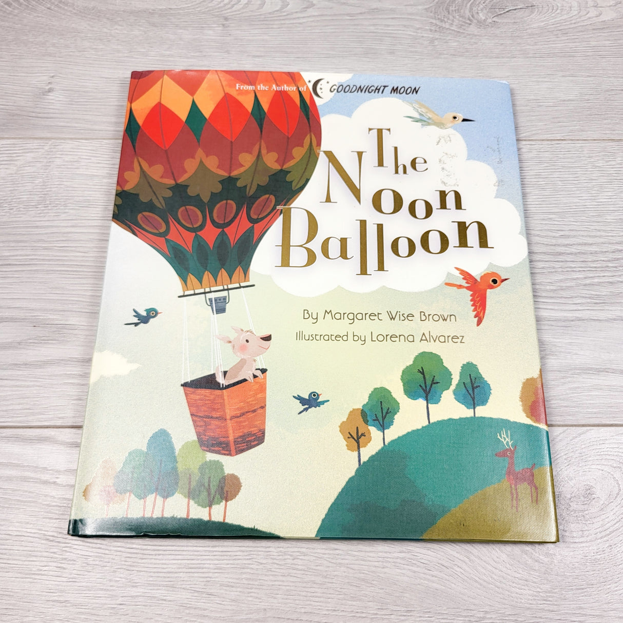 The Noon Balloon. Hardcover book
