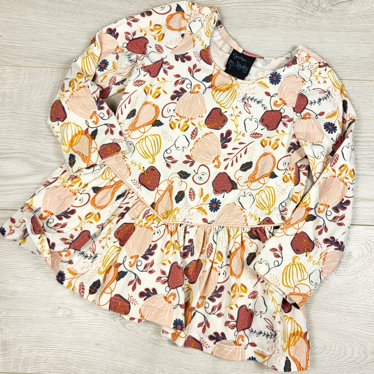 Cynthia Rowley Autumn dress with pumpkins. Size 24 months