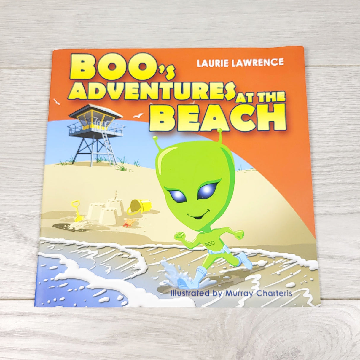 Boo's Adventure at the Beach. Soft cover book