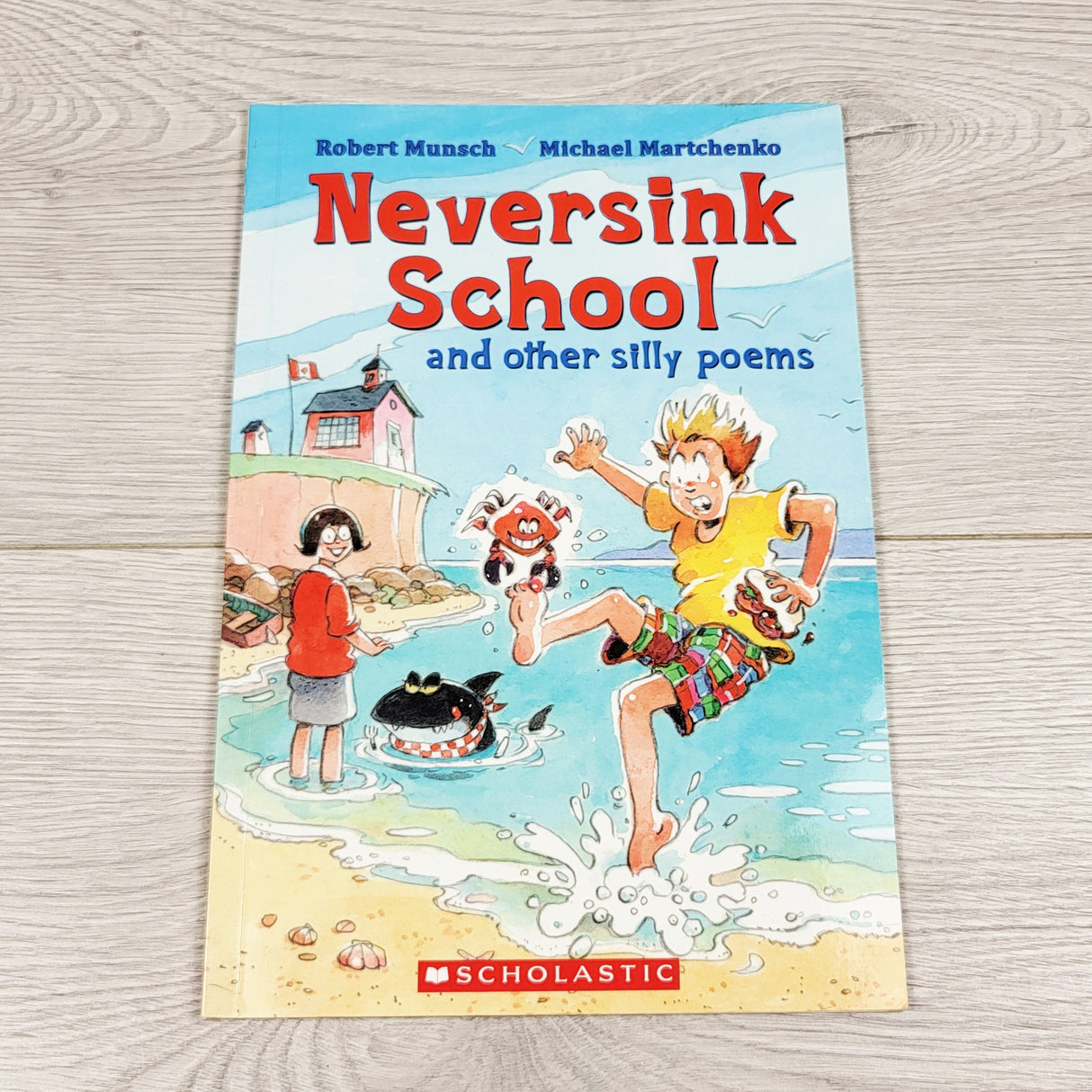 Neversink School and Other Silly Poems. Soft cover book