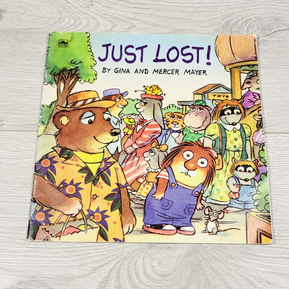 Just Lost! Soft cover book