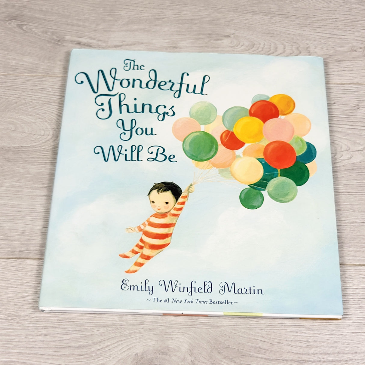 The Wonderful Things You Will Be. Hardcover book