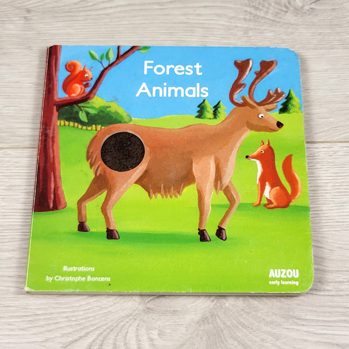 Forest Animals. Touch and feel board book