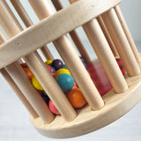 B. Toys "A-Maze Rush Rain" wooden rolling tower toy (sorry. no shipping)