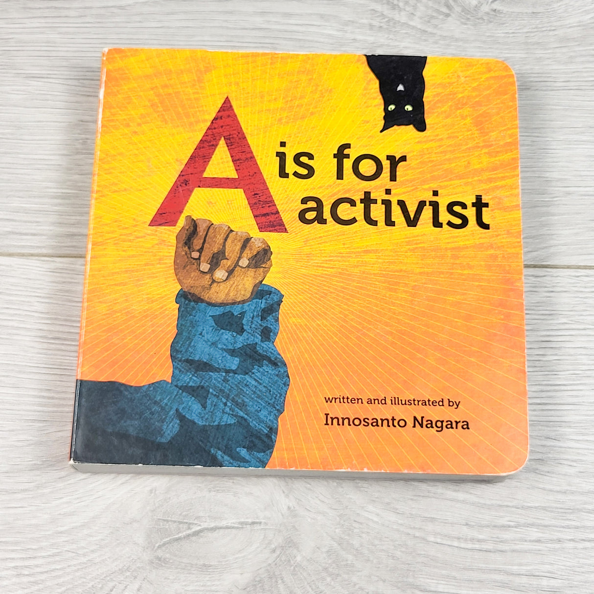 A is For Activist. Board book