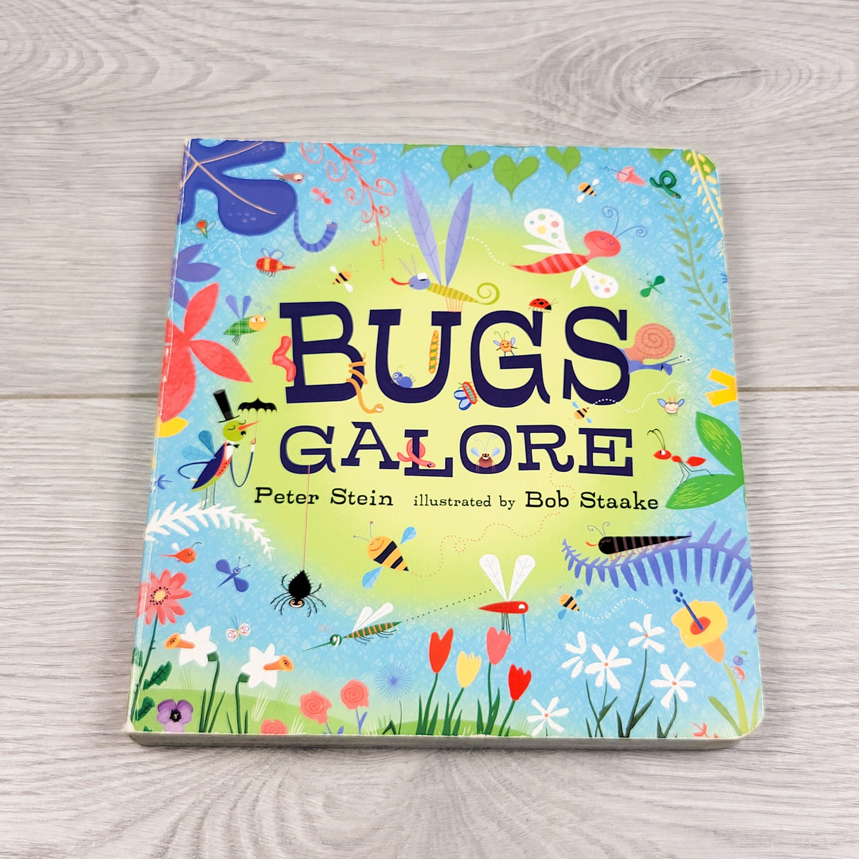 Bugs Galore. Board book
