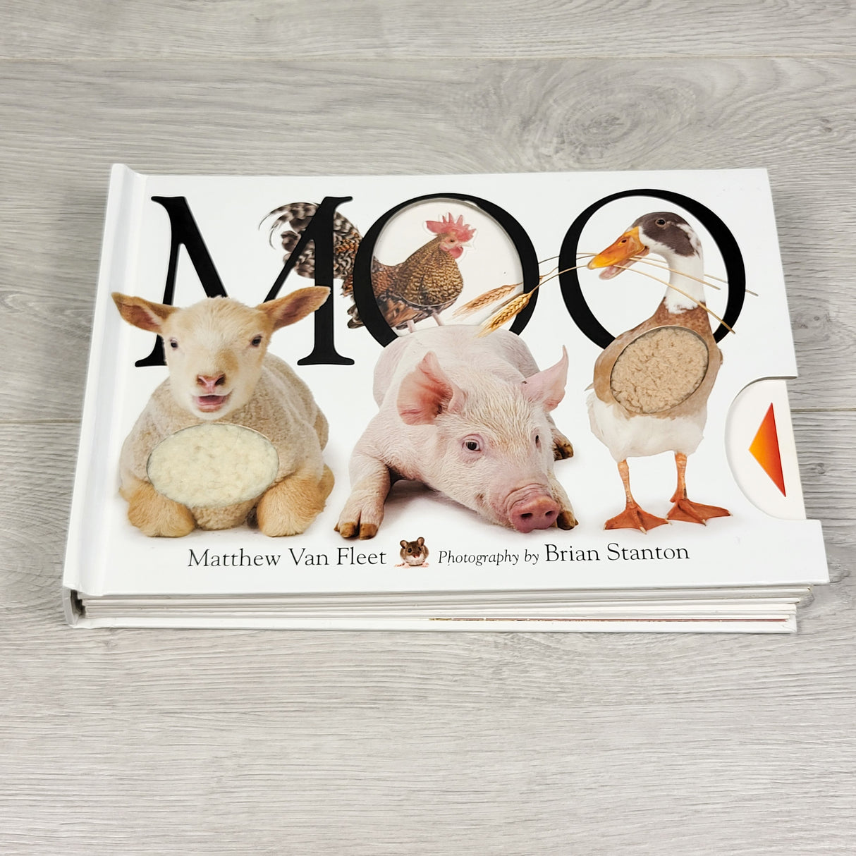 Moo. Interactive board book with slides, touch and feel, etc (sorry, no shipping)