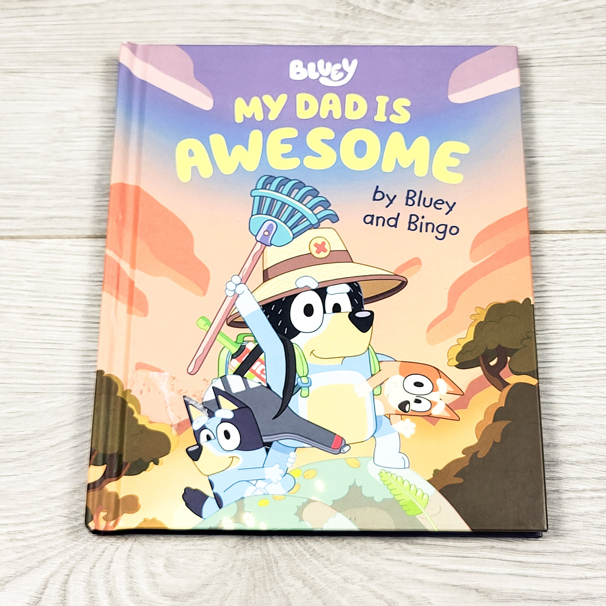 Bluey: My Dad is Awesome. Hardcover book