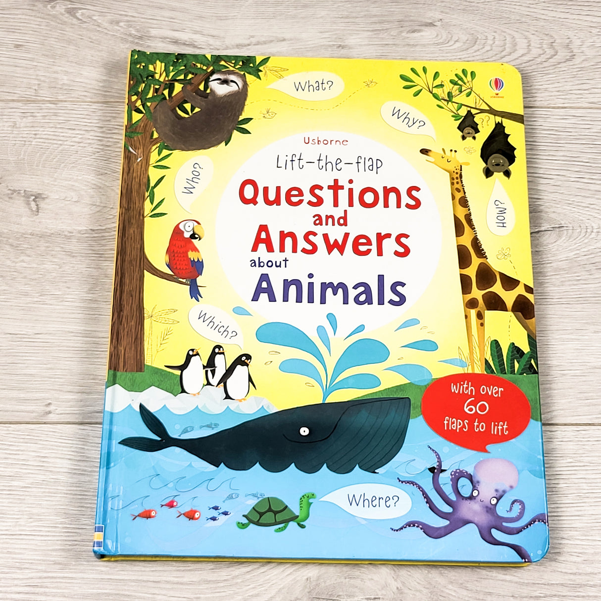 Usborne Questions and Answers About Animals. Hardcover lift the flap book (no shipping)