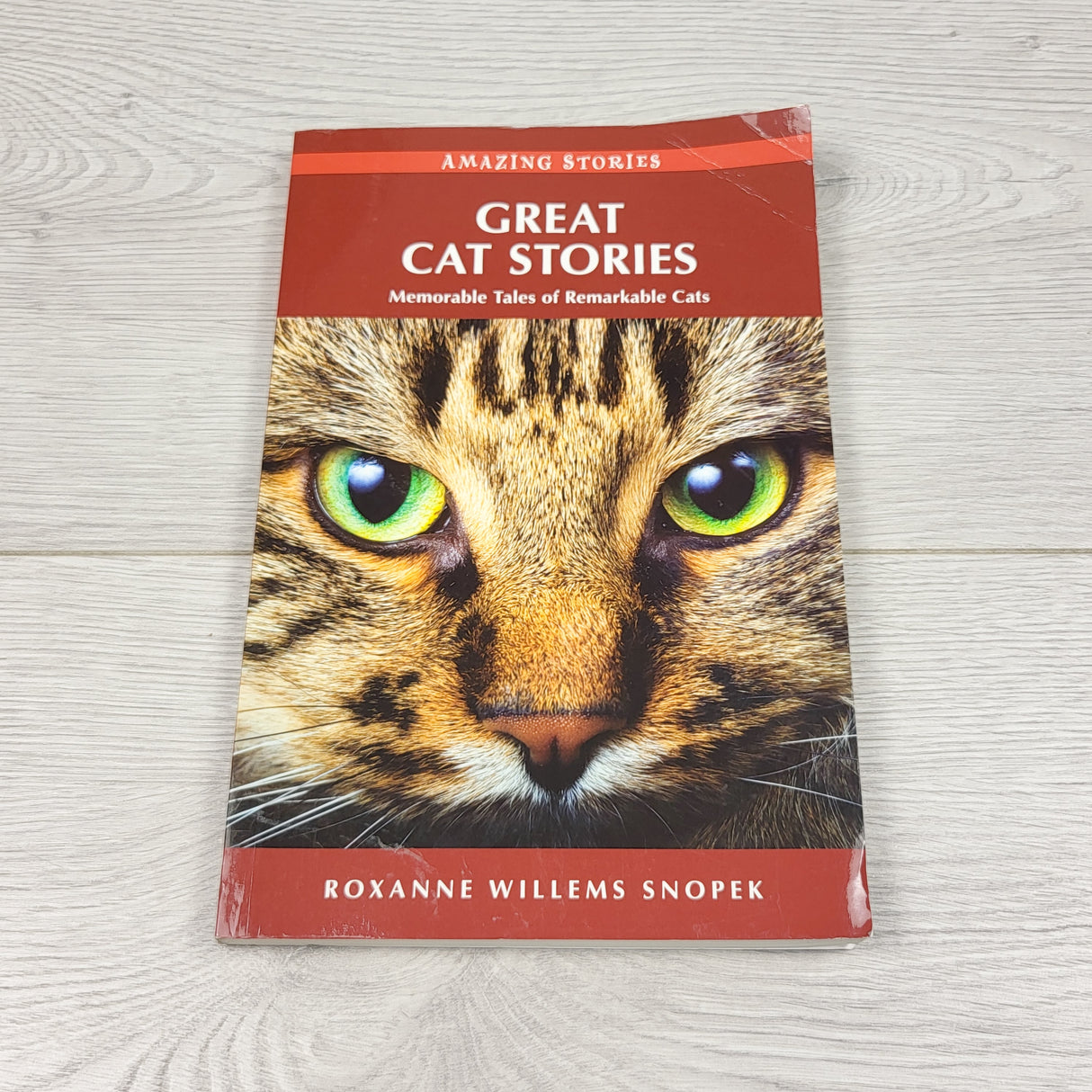Great Cat Stories. Soft cover book