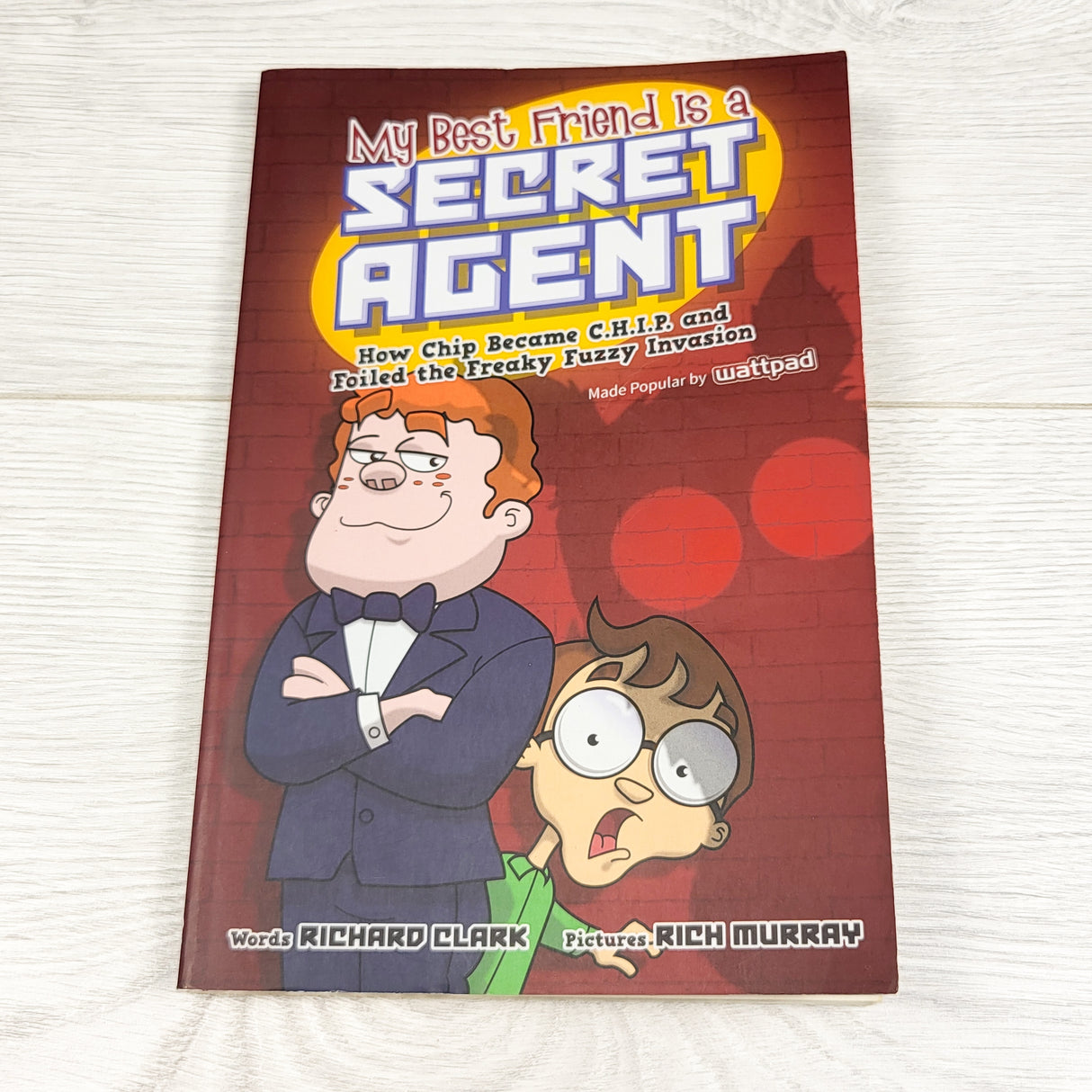 My Best Friend is a Secret Agent. Soft cover book