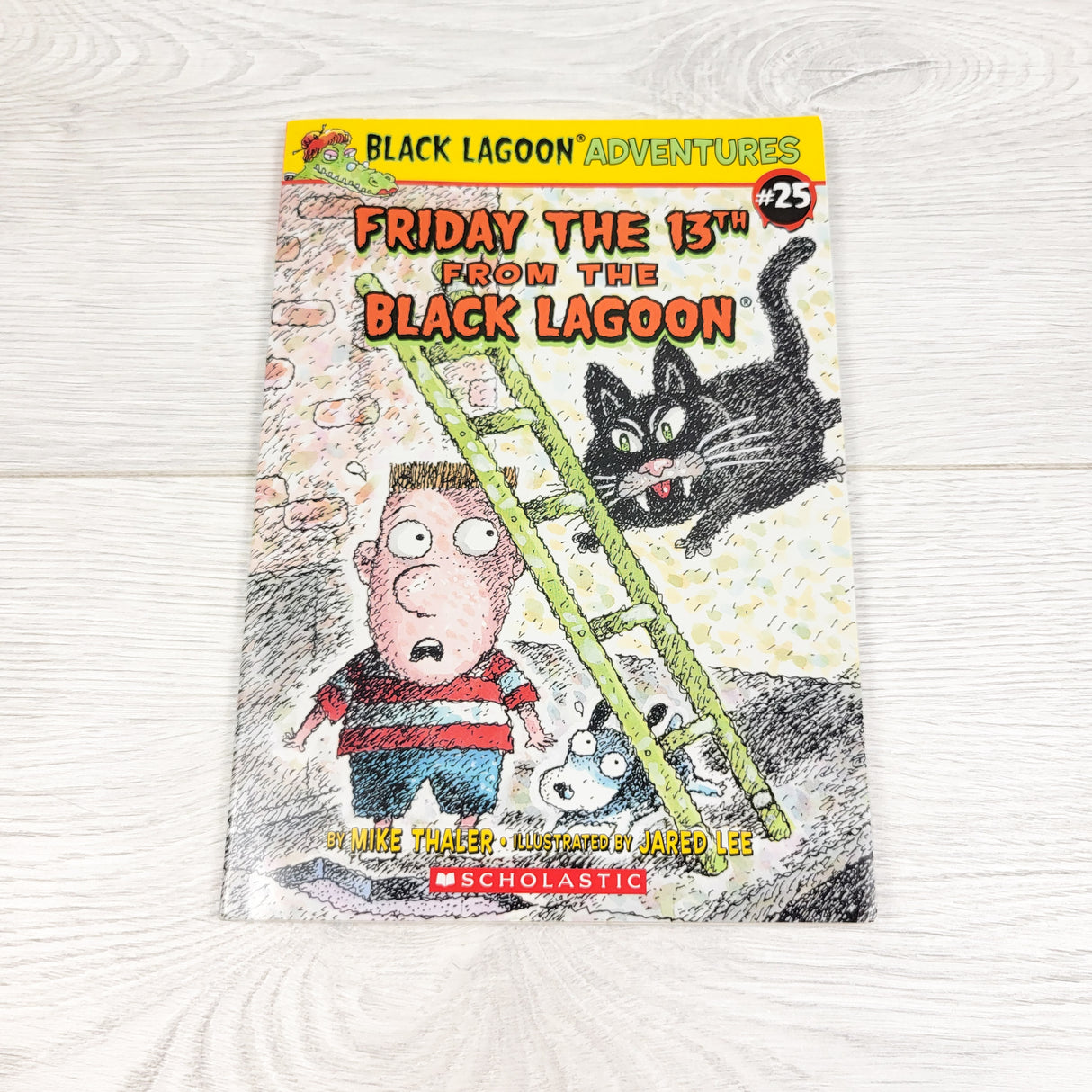 Friday the 13th from the Black Lagoon. Soft cover book