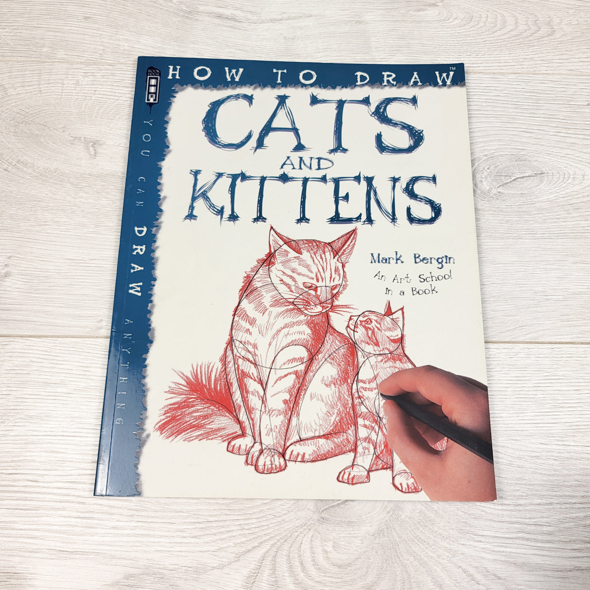 How to Draw Cats and Kittens. Soft cover book