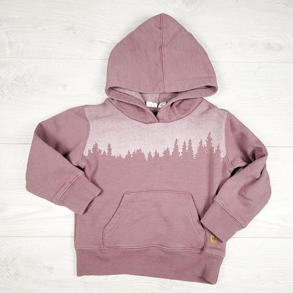 Tentree pinky-purple pullover hoodie with trees. Size 2T