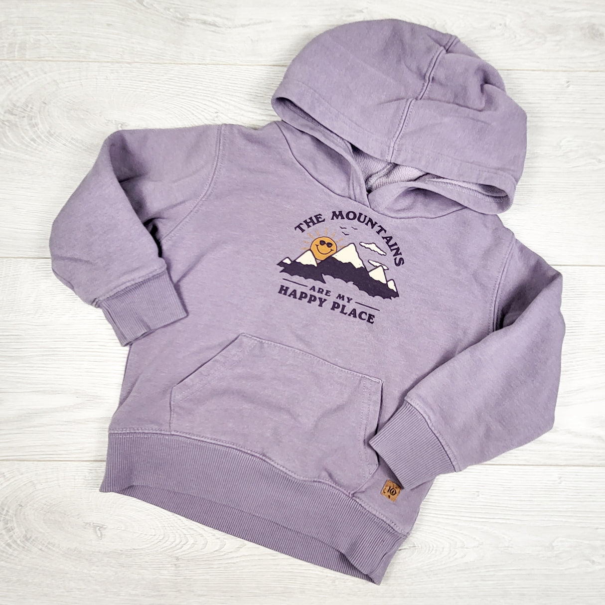 Tentree purple "The Mountains Are My Happy Place" pullover hoodie. Size 2T
