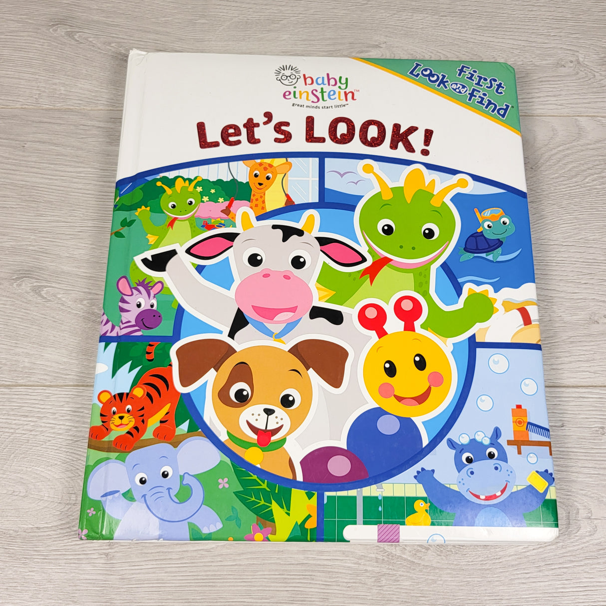 Baby Einstein Let's Look large look and find board book (sorry, no shipping)