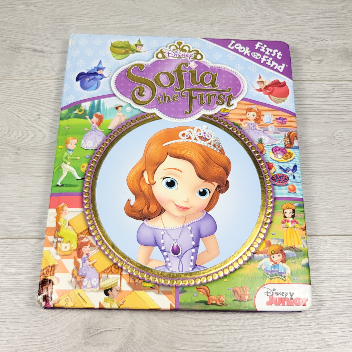 Sofia the First large look and find book (sorry, no shipping)