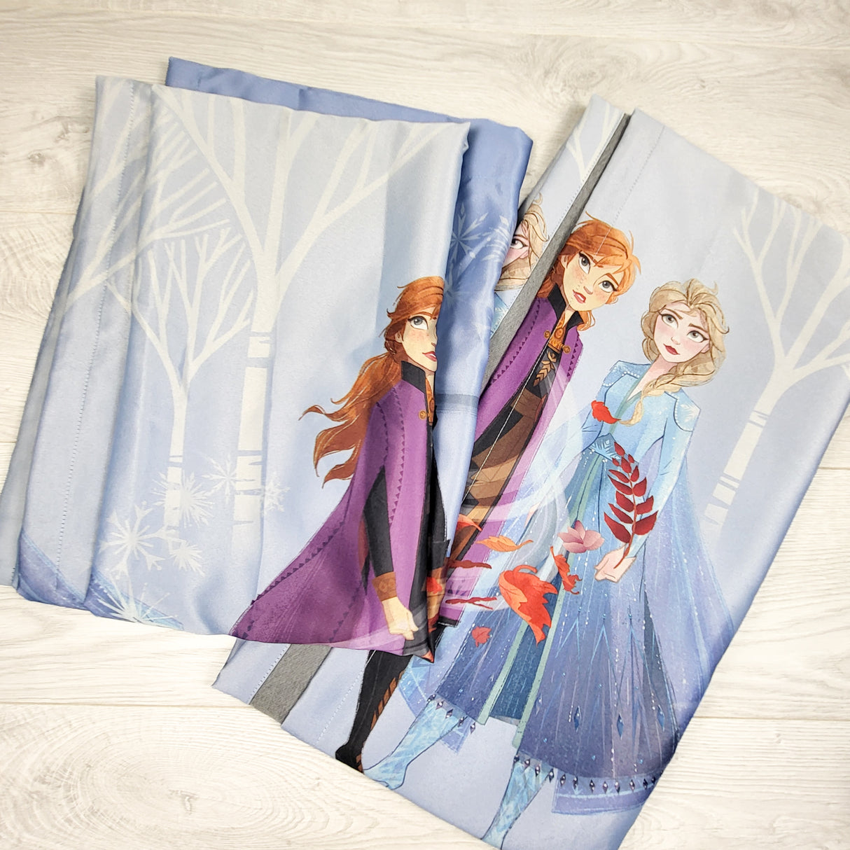 Frozen curtains (2 panels)