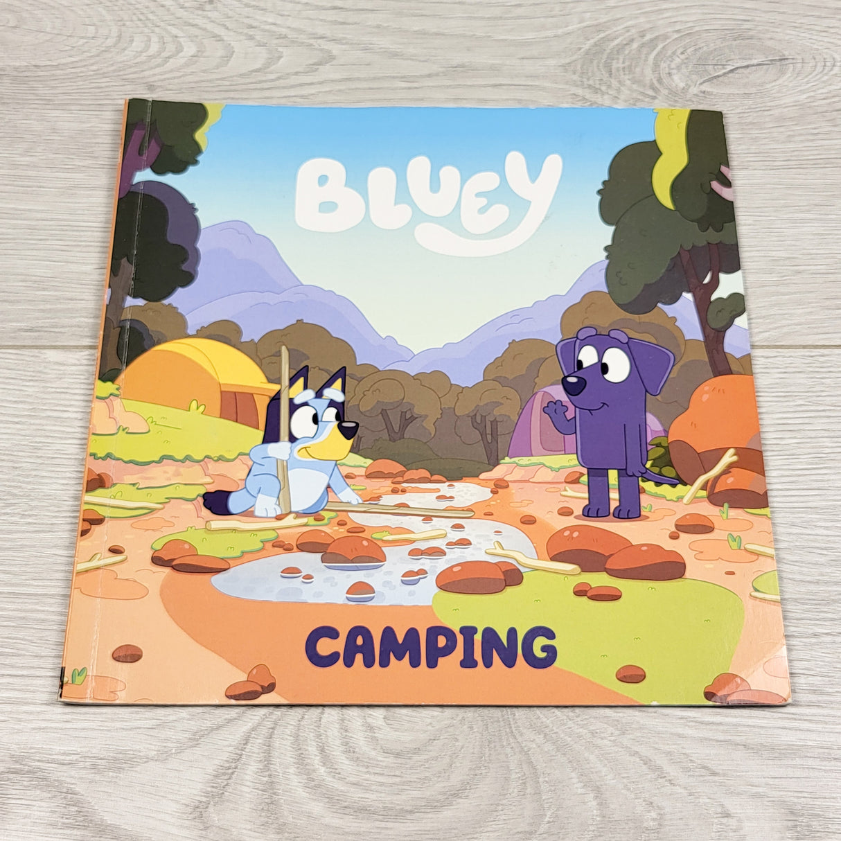 Camping. Soft cover Bluey book