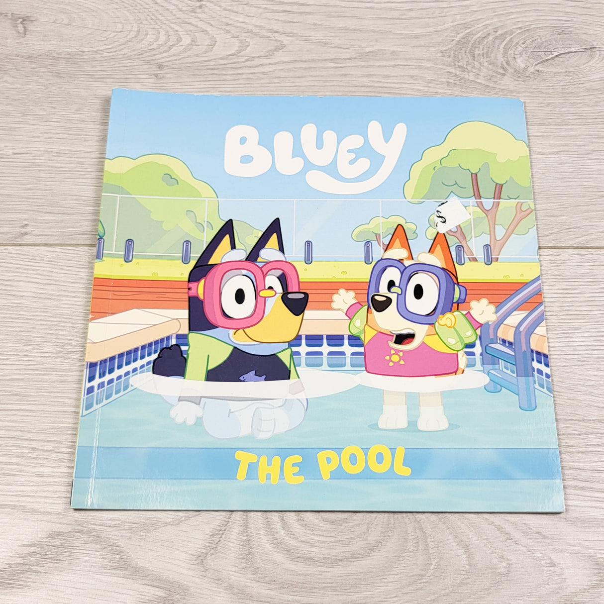 The Pool. Soft cover Bluey book