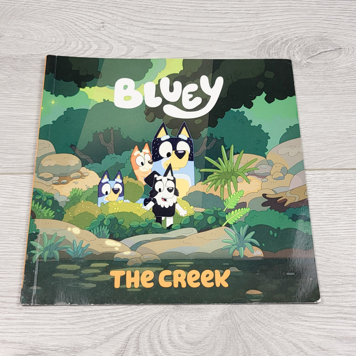 The Creek. Soft cover Bluey book