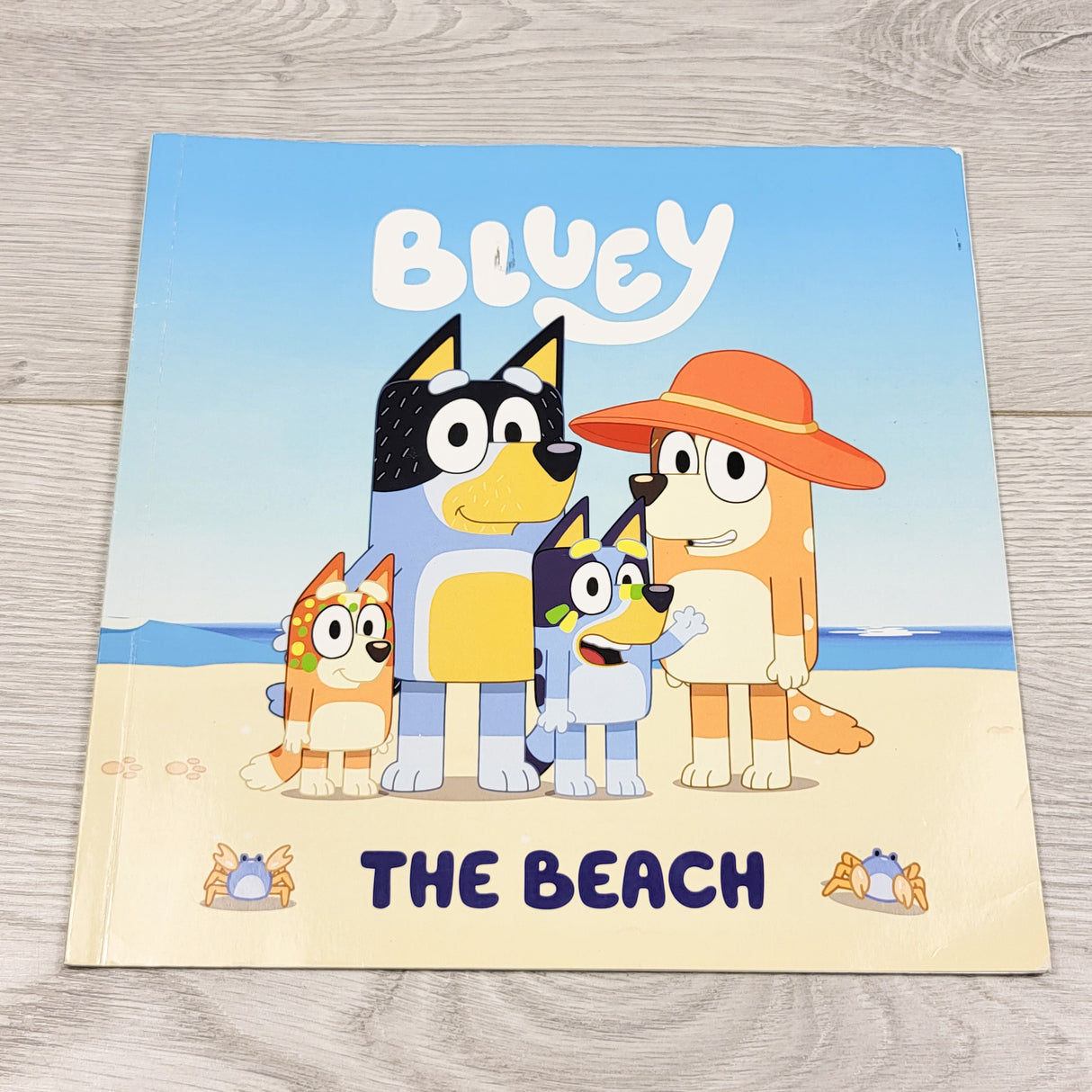 The Beach. Soft cover Bluey book