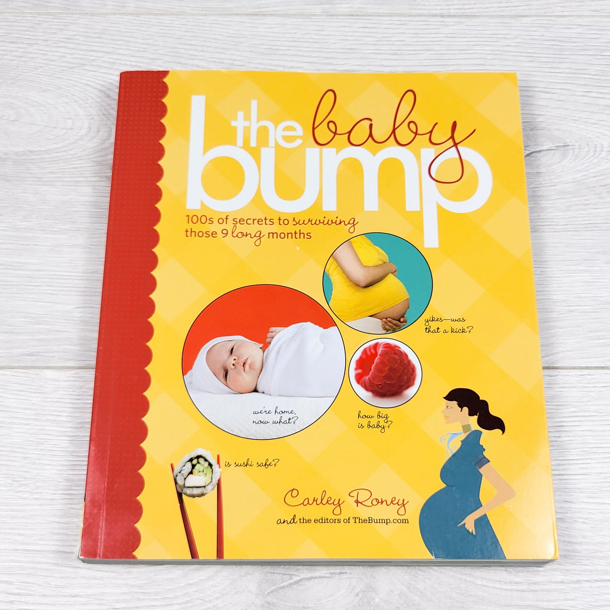 The Baby Bump. Soft cover book (sorry, no shipping)