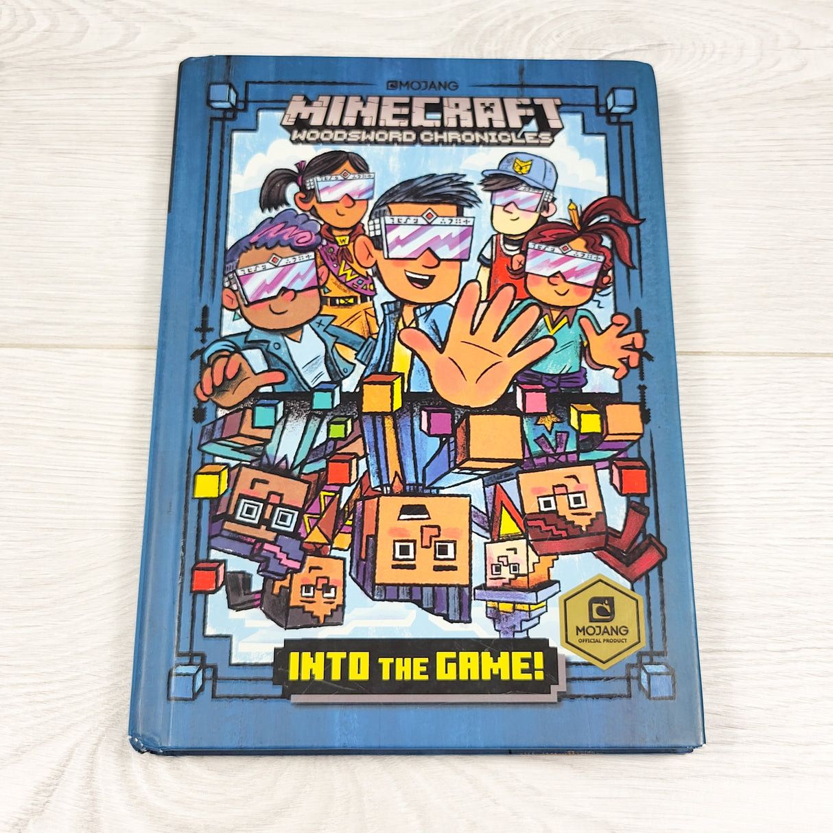 Minecraft Woodsword Chronicles: Into the Game! Hardcover chapter book
