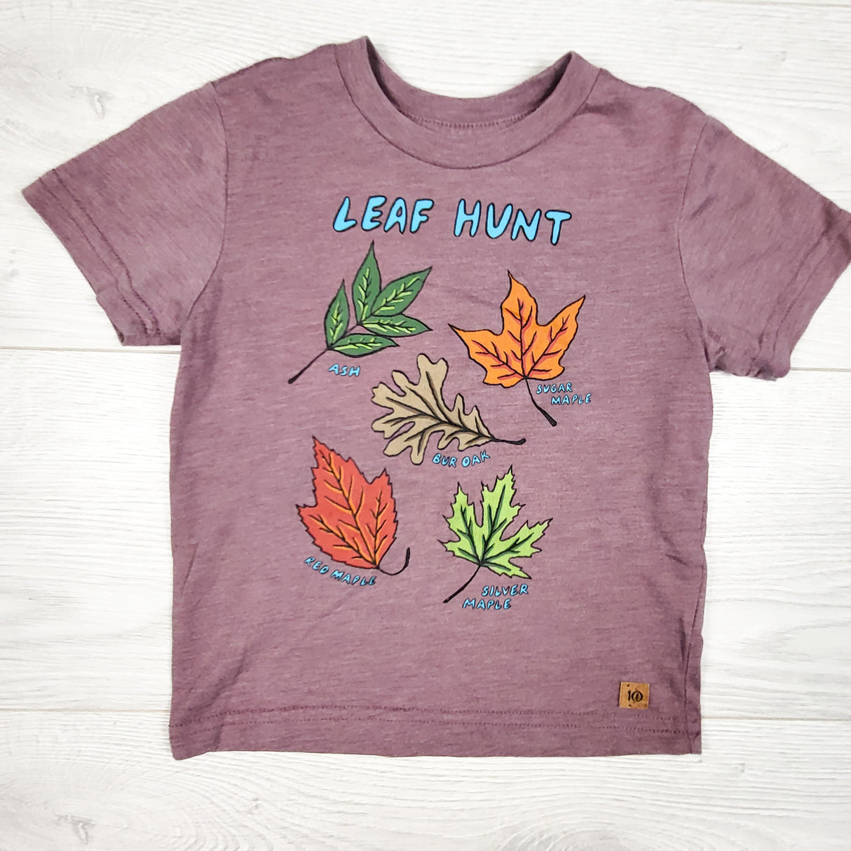 Tentree "Leaf Hunt" t-shirt. Size 2T