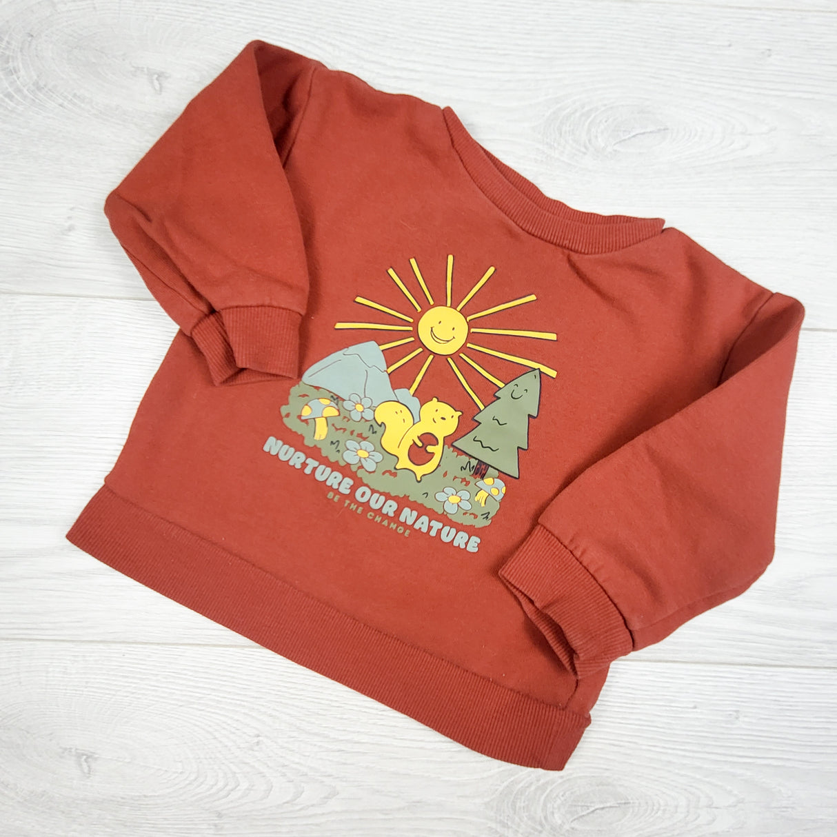 Joe burnt orange "Nurture Over Nature" sweatshirt. Size 12-18 months