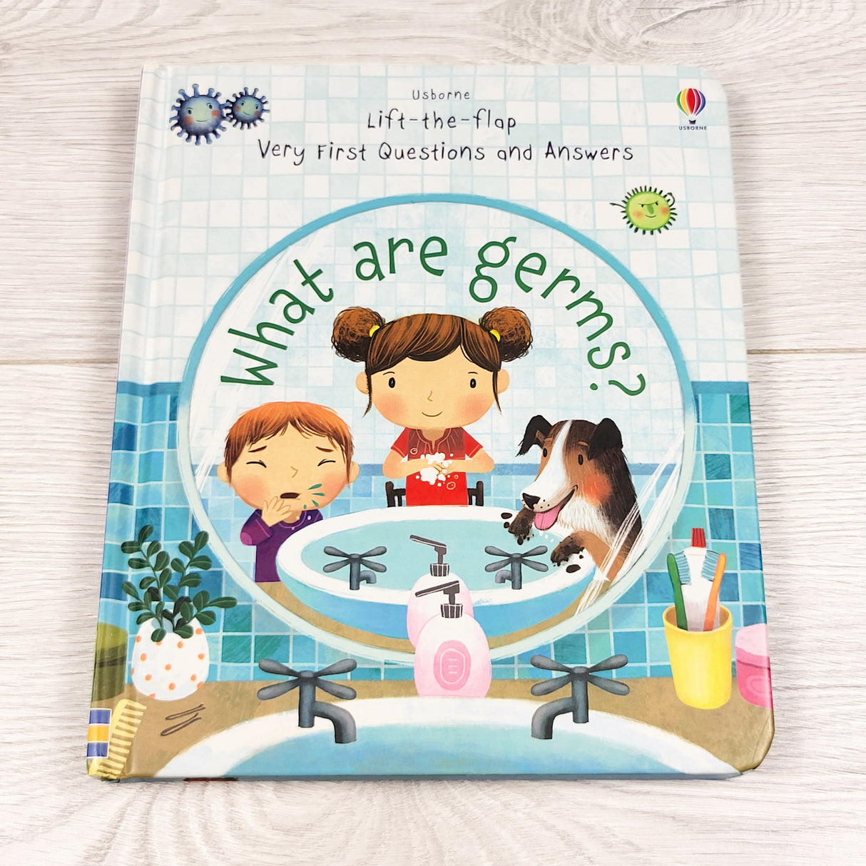 What Are Germs? Usborne lift the flap board book