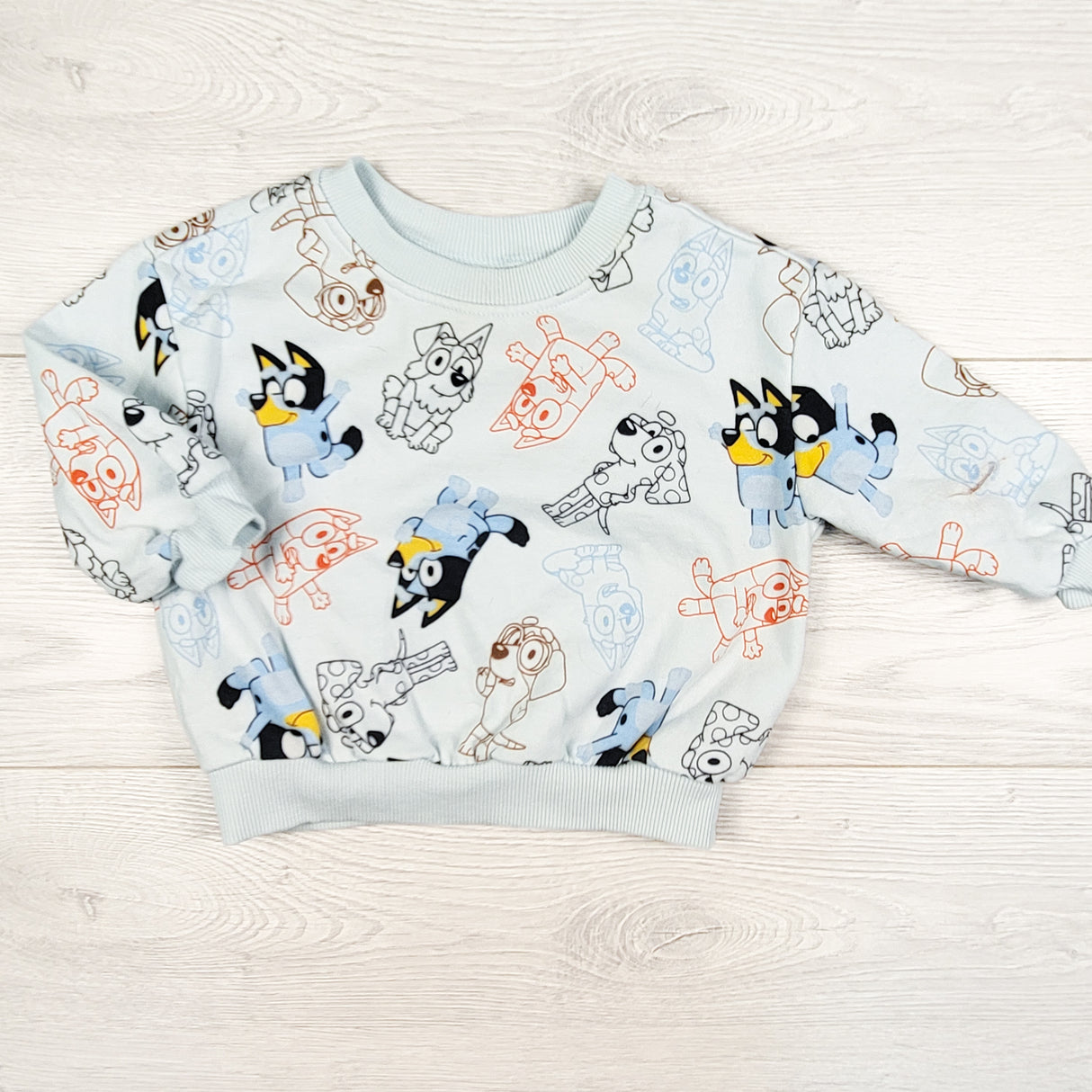 Bluey light blue fleecy lined sweatshirt. Size 6-12 months