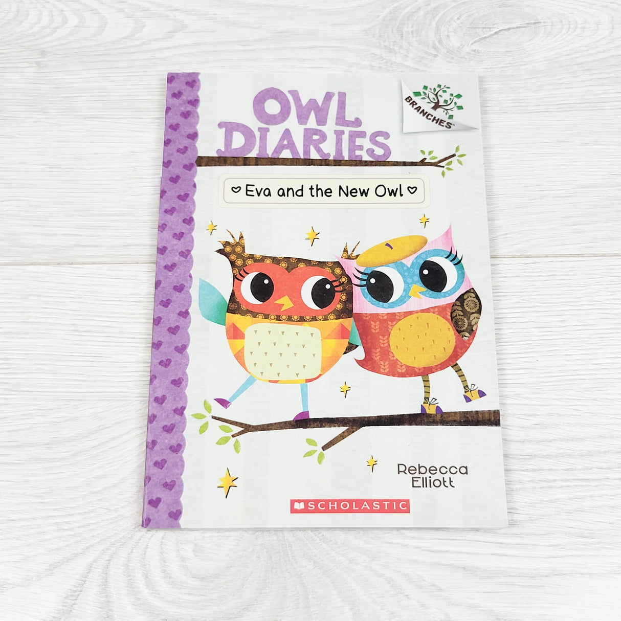 Owl Diaries: Eva and the New Owl. Soft cover book