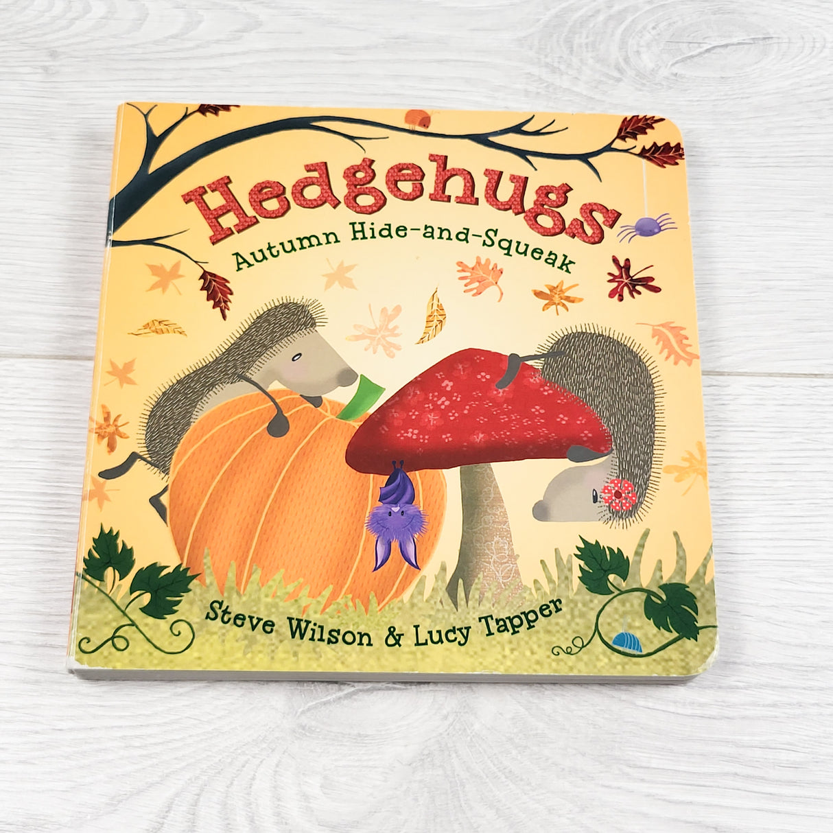Hedgehugs. Board book